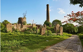 global travel to financial freedom